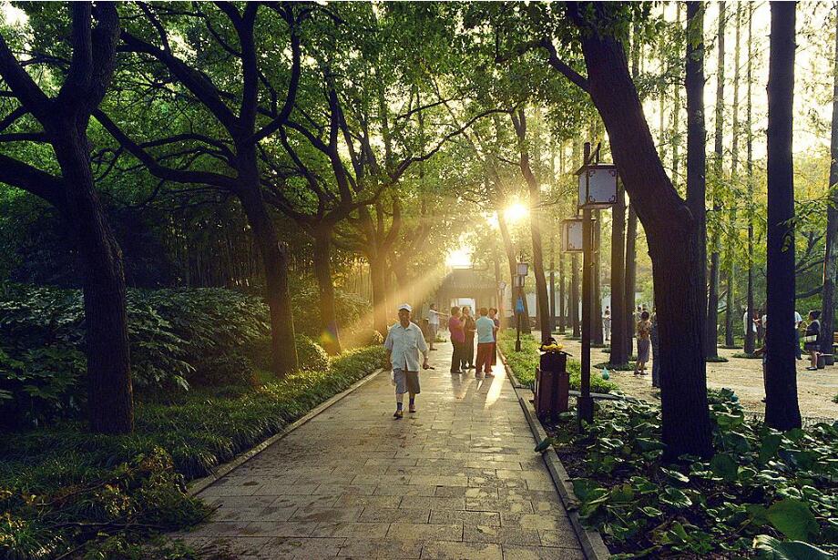 QQ截圖20200106082925